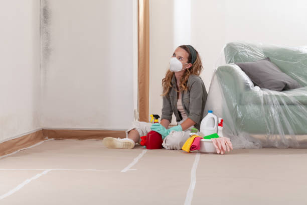 Reliable Basement Mold Remediation contractor in Trenton, FL by WQB Mold Removal
